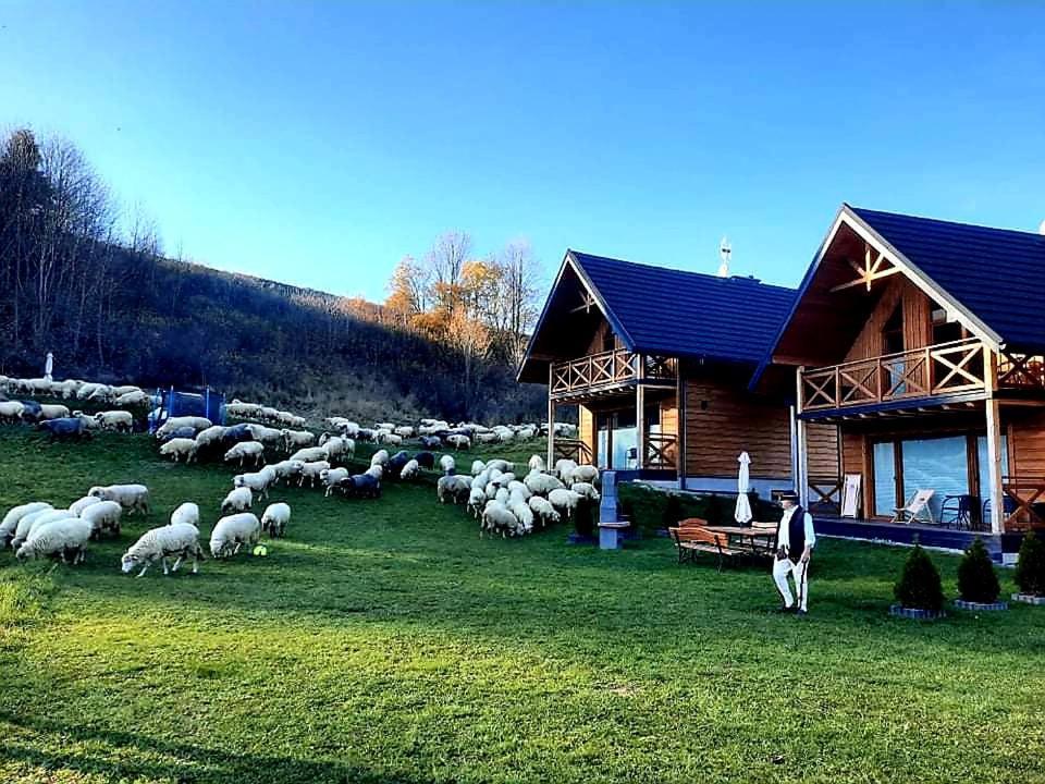 Soltysie - Z Prywatna Balia Chalet